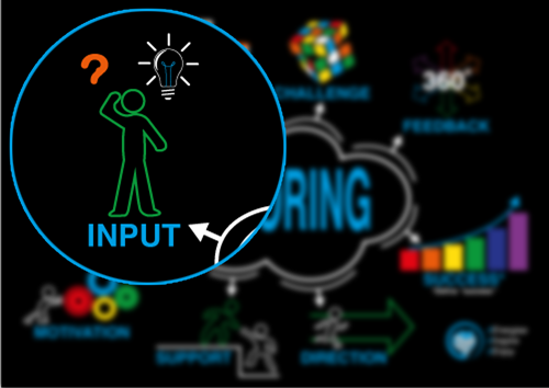 Mentoring - Input
